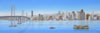 ManmadeSFCityfront